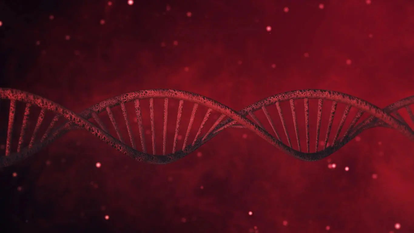 A red background with two dna strands in the middle.